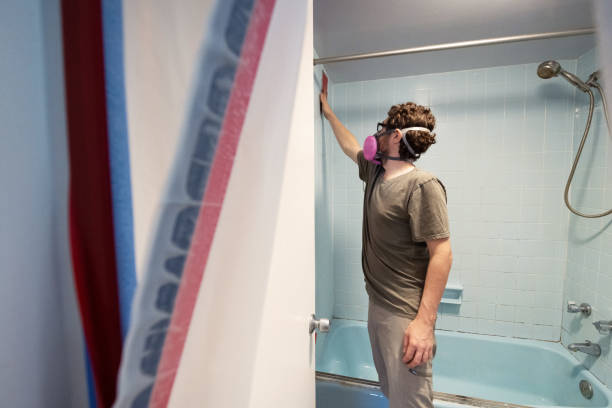 Best Mold Damage Restoration  in Wamac, IN