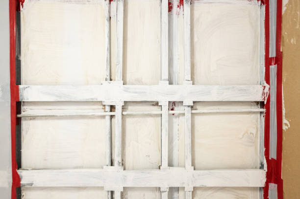 Best Forensic Mold Investigation  in Wamac, IN
