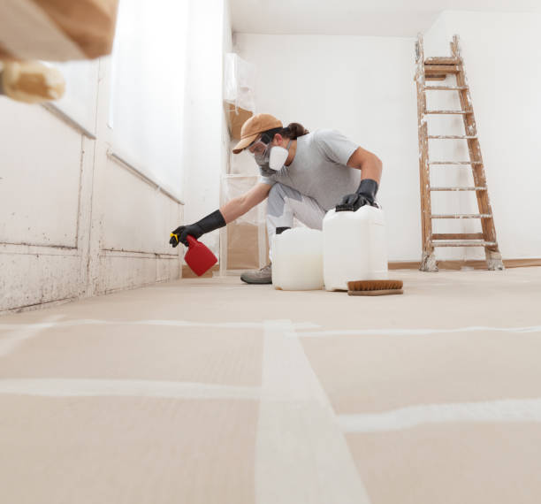 Best Water Damage & Mold Remediation  in Wamac, IN